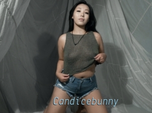 Candicebunny