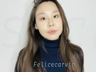 Felicecarvin