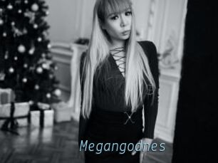 Megangodnes