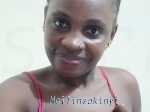 Mollineakinyi