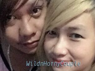 WildnHornyCouple